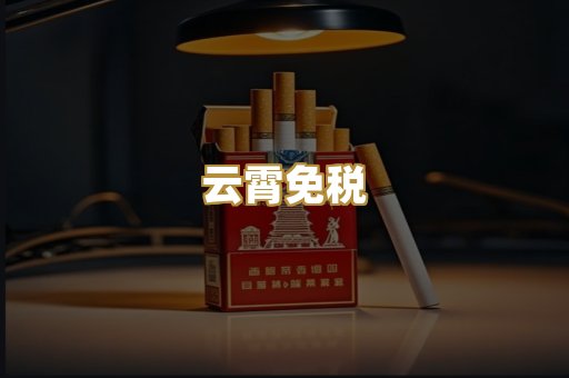 云霄免税
